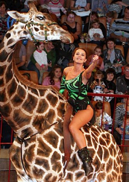 ЖИРАФ ШОУ