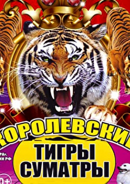 Тайна королевских тигров | Цирк