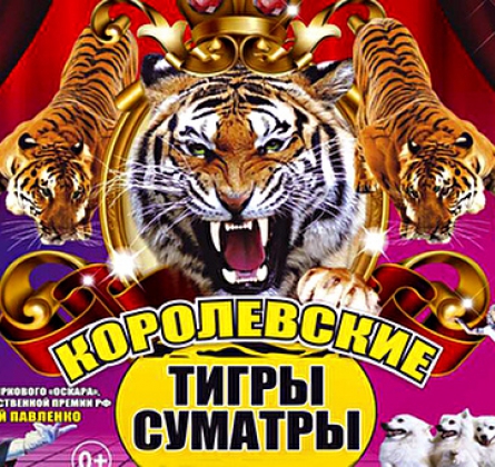Тайна королевских тигров | Цирк