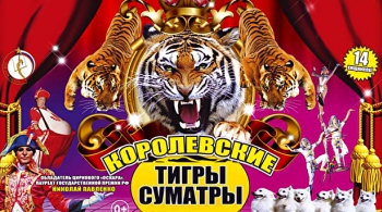 Тайна королевских тигров | Цирк