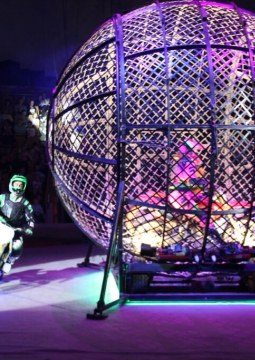 ЦИРК | Парад дрессуры и экзотики