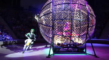 ЦИРК | Парад дрессуры и экзотики