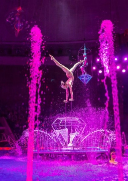 Цирк на воде