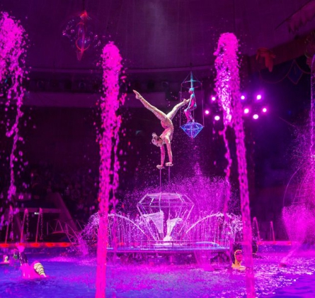 Цирк на воде