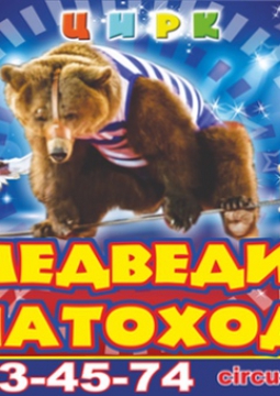 ЦИРК | Медведи - Канатоходцы