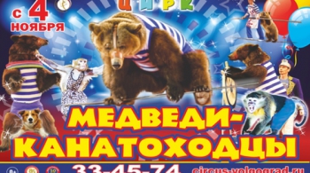 ЦИРК | Медведи - Канатоходцы