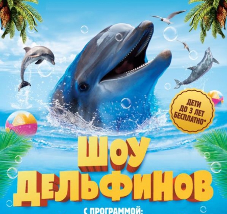 Шоу дельфинов | ТАЙНА СЕМИ МОРЕЙ