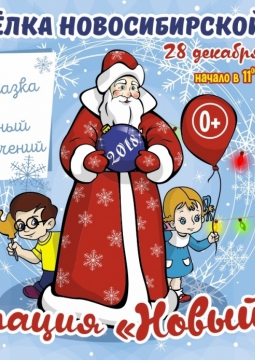 Операция Новый год