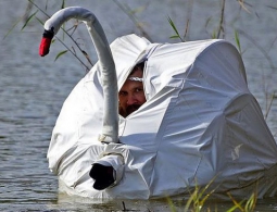 Создан камуфляж, способный менять цвет и форму