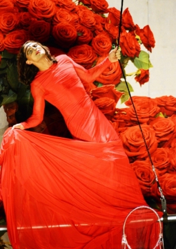 НЕСРАВНЕННАЯ