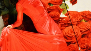 НЕСРАВНЕННАЯ