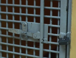 Житель Брянской области обезглавил своего знакомого