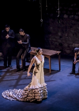 IVIVA Espana | Фестиваль Фламенко