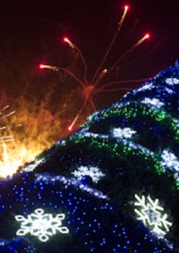 Фэнтастические Елки