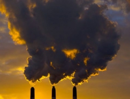 Грязный воздух может стать причиной нейродегенеративных заболеваний