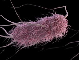 Биоинженеры создали искусственные клетки, которые «прошли тест Тьюринга»