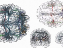 Сможем ли мы возвращать мертвых к жизни?