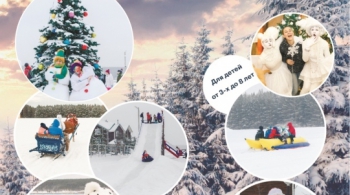 Щенки спасают Новый год | Сигнал тревоги