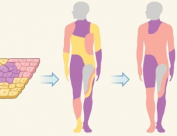 Ученые победили одно из страшнейших и неизлечимых заболеваний