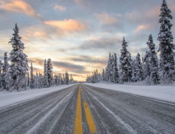 Ученые из Тюмени представили материал для строительства дорог в Арктике