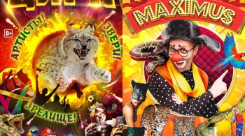 Цирк MAXIMUS