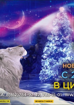 ЦИРК в Автово | ТАЙНА СНЕЖНЫХ ЛЬВОВ новогодняя сказка