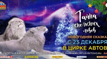 ЦИРК в Автово | ТАЙНА СНЕЖНЫХ ЛЬВОВ новогодняя сказка