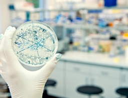 Ученые: антибиотики-"домушники" помогут победить супербактерий