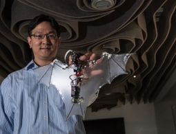 Американским инженерам удалось создать робота-летучую мышь