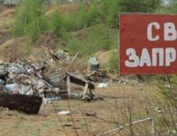 Мусорить нельзя: Брянский лесозаготовитель оштрафован