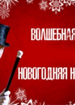 Волшебная Новогодняя ночь
