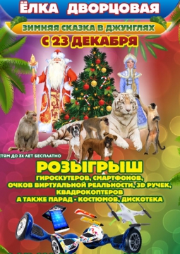 Цирк | Зимняя сказка в джунглях