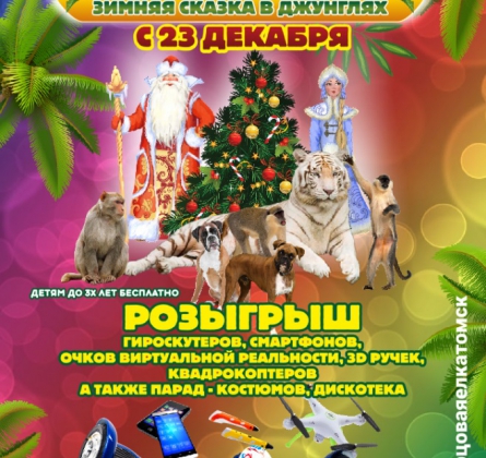 Цирк | Зимняя сказка в джунглях
