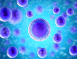 В Китае разработан 3D-биопринтер для массового производства тканей человека