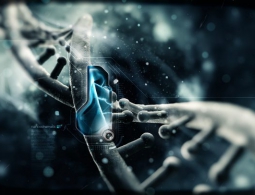 Ученые добавили две новые буквы в генетический код