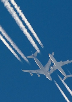 Спорт | Два Самолета | Камикадзе