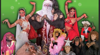 ДЖАМБО | Цирк