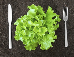 Генетики рассказали, почему не работают диеты