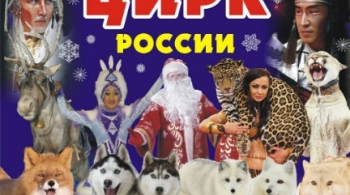Цирк | Северное сияние!