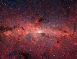 Инопланетяне должны быть похожи на нас: еще больше мнений