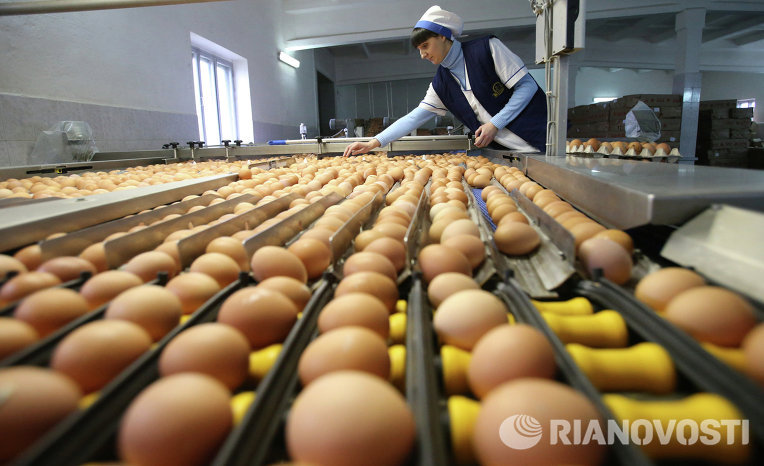 Россельхознадзор разъяснил поставление о запрете поставок яиц из стран ЕС