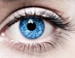 Разработан клей для глаз, который защитит от слепоты