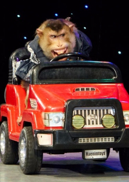 Новогоднее цирковое шоу капитана Врунгеля