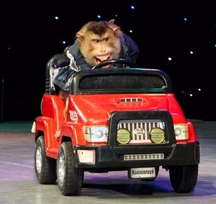 Новогоднее цирковое шоу капитана Врунгеля