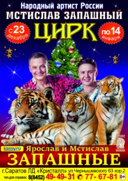 Тигры в воздухе и на земле | Мстислав Запашный