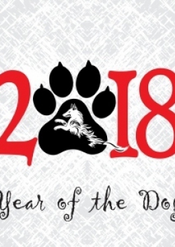 Новогодняя ночь в кафе 