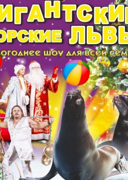 ЦИРК | Шоу морских львов