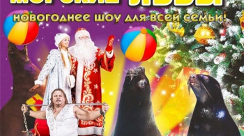 ЦИРК | Шоу морских львов