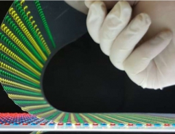 Электрический угорь вдохновил учёных на создание биологического источника энергии