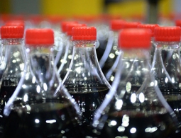 Ученые нашли способ побороть эпидемию ожирения